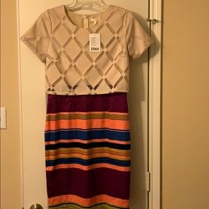 NWT Anthropologie Striped Dress